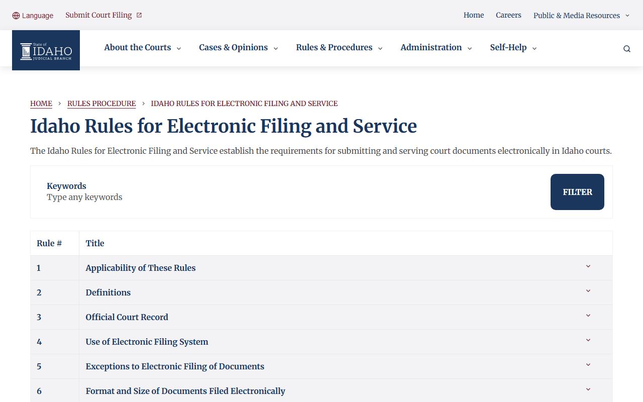 Boise County court records Idaho electronic filing rules